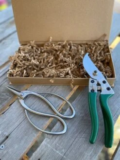 Garden Gift Box - Pruners And Snips -Ed's plant shop garden gift box pruners and snips 217026