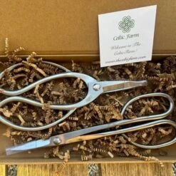 Garden Gift Box - Stainless Garden Scissor Set -Ed's plant shop garden gift box stainless garden scissor set 920159