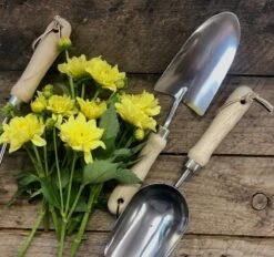 Garden Hand Tool Set - Hardwood And Stainless -Ed's plant shop garden hand tool set hardwood and stainless 502708