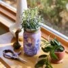 Garden Jars - Organic Herbs -Ed's plant shop garden jars organic herbs 120700