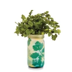 Garden Jars - Organic Herbs 28 Garden Jars - Organic Herbs -Ed's plant shop garden jars organic herbs 608359