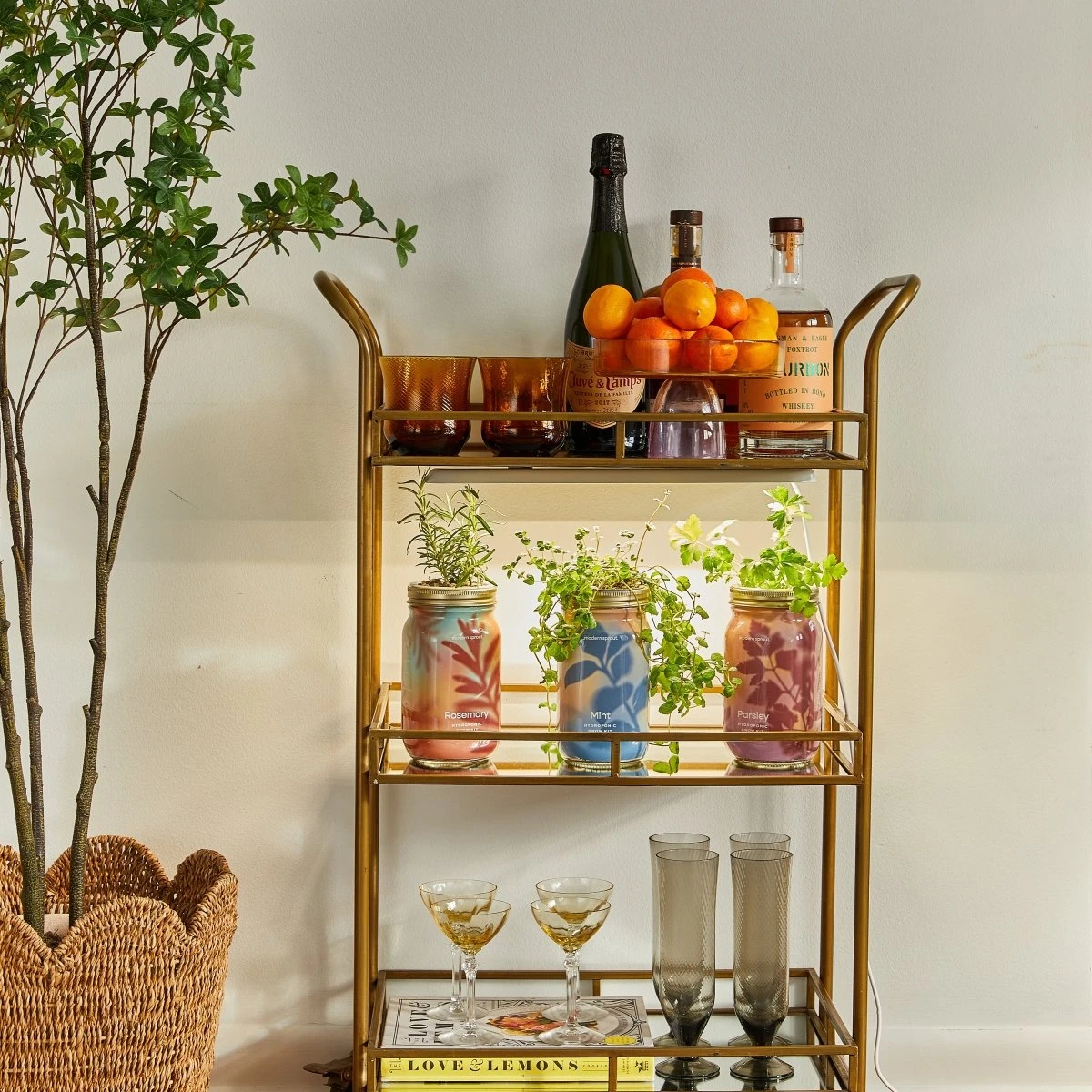 Garden Jars - Organic Herbs 16 Garden Jars - Organic Herbs - Image 14