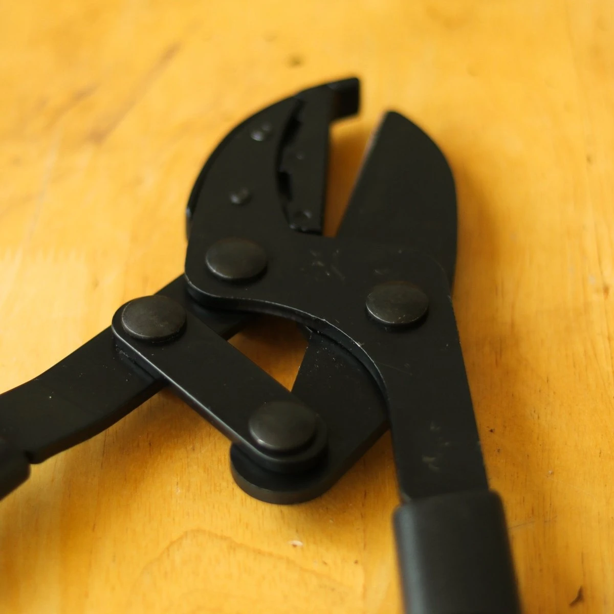 Garden Lopping Shears Bypass Deluxe By Benson 11 Garden Lopping Shears Bypass Deluxe By Benson - Image 9