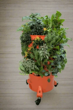 Garden Tower 2 - Move And Grow Bundle 17 Garden Tower 2 - Move And Grow Bundle -Ed's plant shop garden tower 2 move and grow bundle 7350315