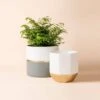 Garonne Rose Gold & Grey Planter Pot Set -Ed's plant shop garonne rose gold grey planter pot set 621644