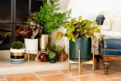 Gemstone Porcelain Planter Pot With Water Saucer 8.25 Inch -Ed's plant shop gemstone planter pot 825 528170