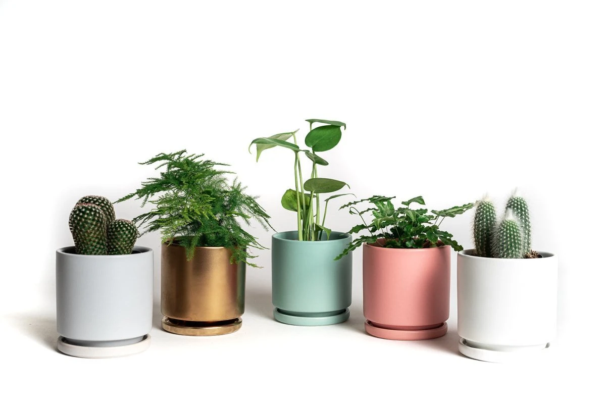 Gemstone Porcelain Planter Pot With Water Saucer 4.5 Inch 4 Gemstone Porcelain Planter Pot With Water Saucer 4.5 Inch - Image 2