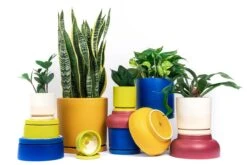 Gemstone Porcelain Planter Pot With Water Saucer 4.5 Inch 24 Gemstone Porcelain Planter Pot With Water Saucer 4.5 Inch -Ed's plant shop gemstone porcelain planter pot with water saucer 45 inch 895960