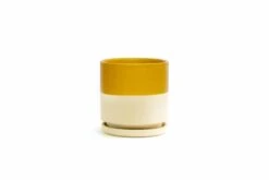 Gemstone Porcelain Planter Pot With Water Saucer 6.25 Inch 32 Gemstone Porcelain Planter Pot With Water Saucer 6.25 Inch -Ed's plant shop gemstone porcelain planter pot with water saucer 625 inch 645582