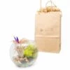 Gift Wrapped Terrarium Kits With Tillandsia Air Plants -Ed's plant shop gift wrapped terrarium kits with tillandsia air plants 1892120