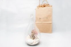 Gift Wrapped Terrarium Kits With Tillandsia Air Plants 14 Gift Wrapped Terrarium Kits With Tillandsia Air Plants -Ed's plant shop gift wrapped terrarium kits with tillandsia air plants 8031780