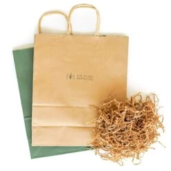 Gift Wrapped Tillandsia Xerographica -Ed's plant shop gift wrapped tillandsia xerographica 4739197