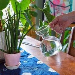 Glass Watering Can | Elegant, Multi-Functional Plant Care Tool -Ed's plant shop glass watering can elegant multi functional plant care tool 160383