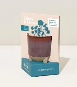 Glow & Grow Candle-to-Planter Kit – Basil, Daisies, Aloe, Or Spruce -Ed's plant shop glow grow candle to planter kit basil daisies aloe or spruce 122261