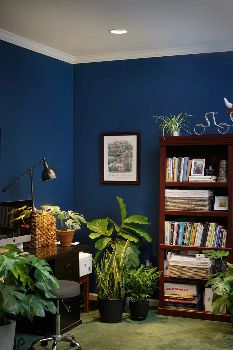 Greenfit™ Kit- Vita LED Grow Light Bulb 4-Pack 6 Greenfit™ Kit- Vita LED Grow Light Bulb 4-Pack - Image 4