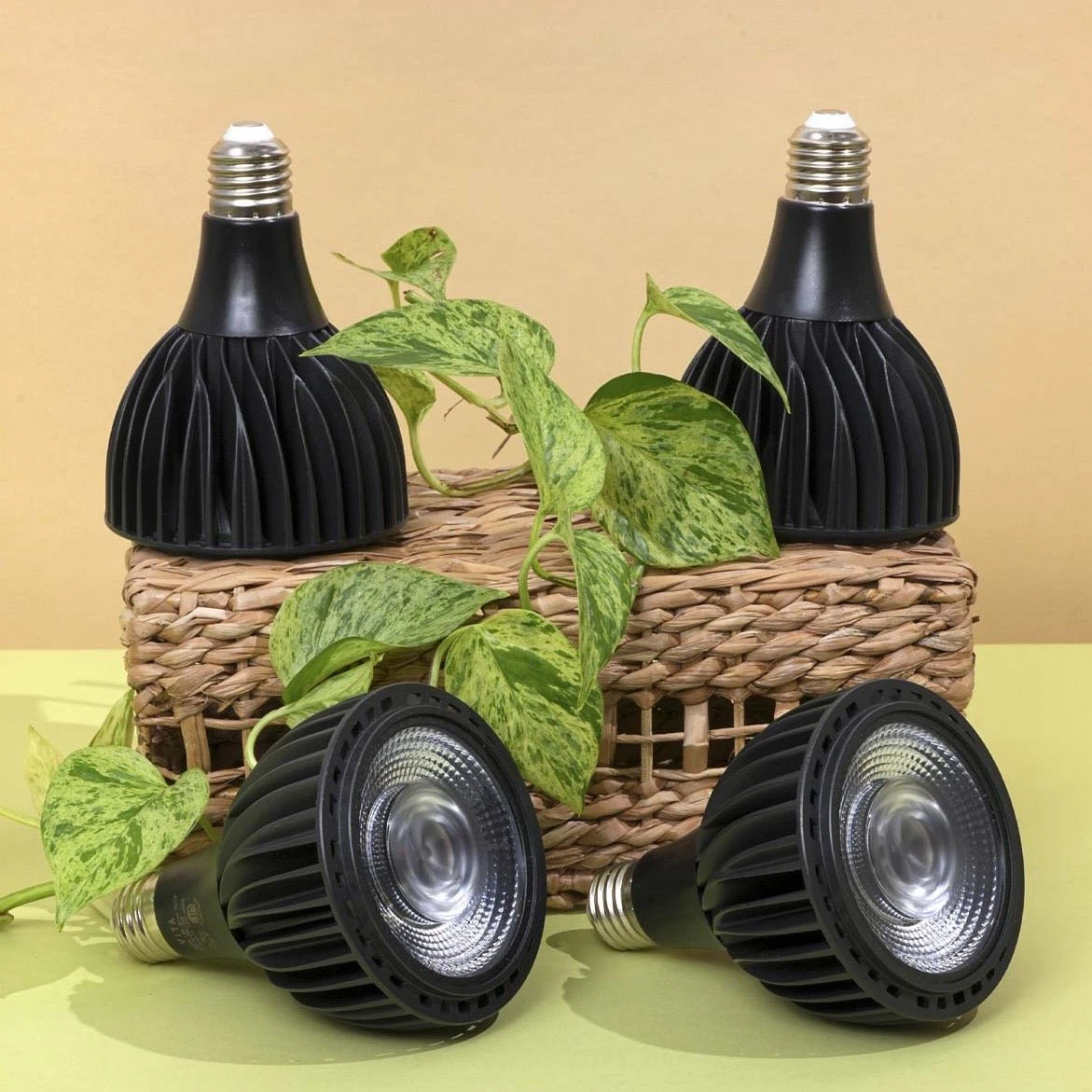 Greenfit™ Kit- Vita LED Grow Light Bulb 4-Pack 4 Greenfit™ Kit- Vita LED Grow Light Bulb 4-Pack - Image 2