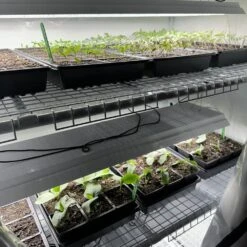 Greens & Veggies 3-Tier Walden White LED Grow Tent Kit -Ed's plant shop greens veggies 3 tier walden white led grow tent kit 728259