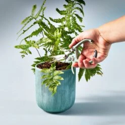 Grip-Friendly Gardening Shears - New Colors! -Ed's plant shop grip friendly gardening shears new colors 449597