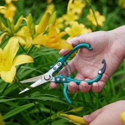 Grip-Friendly Gardening Shears - New Colors! -Ed's plant shop grip friendly gardening shears new colors 680574