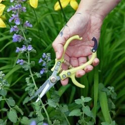 Grip-Friendly Gardening Shears - New Colors! -Ed's plant shop grip friendly gardening shears new colors 749413