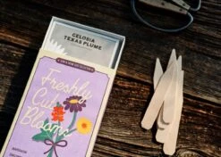 Grow Your Own Cut Flower Garden Kit – Backyard Bouquets Made Easy! -Ed's plant shop grow your own cut flower garden kit backyard bouquets made easy 3017718