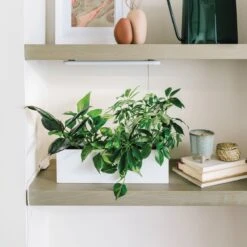 Growbar White LED Grow Light Fixture (Online Only) | Under Cabinet Or Shelf Mount -Ed's plant shop growbar white led grow light fixture online only under cabinet or shelf mount 550080