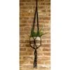Handmade Macrame Plant Hanger – Black Cotton Rope, 45" For 5–8 Inch Pots -Ed's plant shop handmade macrame plant hanger black cotton rope 45 for 58 inch pots 6487233