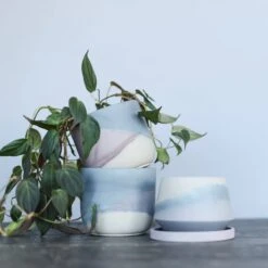 Harper Modern Concrete Planter - Midnight Blue 3 Inch -Ed's plant shop harper modern concrete planter midnight blue 3 inch 133376