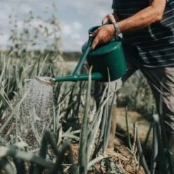 Haws Cradley Deluxe - Watering Can 13 Haws Cradley Deluxe - Watering Can -Ed's plant shop haws cradley deluxe watering can 493506