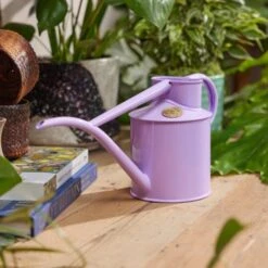 Haws Fazeley Flow Classic Watering Can - Small Indoor Garden Essentials -Ed's plant shop haws fazeley flow classic watering can small indoor garden essentials 332611