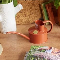 Haws Fazeley Flow Classic Watering Can - Small Indoor Garden Essentials -Ed's plant shop haws fazeley flow classic watering can small indoor garden essentials 438546