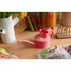 Haws Fazeley Flow Classic Watering Can - Small Indoor Garden Essentials -Ed's plant shop haws fazeley flow classic watering can small indoor garden essentials 644371