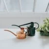 Haws Fazeley Flow Classic Watering Can - Small Indoor Garden Essentials -Ed's plant shop haws fazeley flow classic watering can small indoor garden essentials 944922