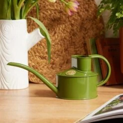 Haws Fazeley Flow Classic Watering Can - Small Indoor Garden Essentials -Ed's plant shop haws fazeley flow classic watering can small indoor garden essentials 976030
