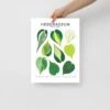Hederaceum Species ID Chart - Botanical Houseplant Art Print -Ed's plant shop hederaceum species id chart botanical houseplant art print 515943