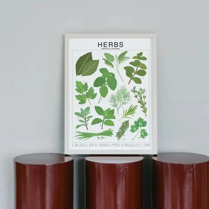 Herbs Species ID Chart - Botanical Garden Art Print 6 Herbs Species ID Chart - Botanical Garden Art Print - Image 4