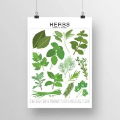 Herbs Species ID Chart - Botanical Garden Art Print