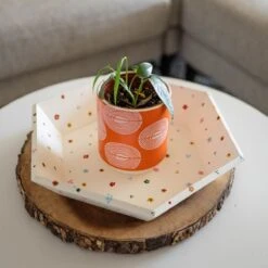 Hexagon Tray Kit 11 Hexagon Tray Kit -Ed's plant shop hexagon tray kit 856006