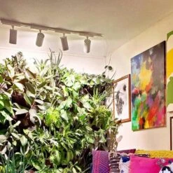 Highland™ LED Track Light System For Indoor Plants 26 Highland™ LED Track Light System For Indoor Plants -Ed's plant shop highland led track light system for indoor plants 578085