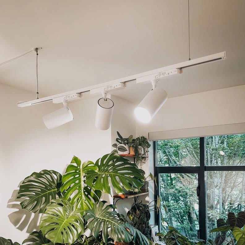 Highland™ LED Track Light System For Indoor Plants 4 Highland™ LED Track Light System For Indoor Plants - Image 2
