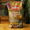 Hoffman Cactus Soil - 10 Quarts -Ed's plant shop hoffman cactus soil 10 quarts 333243