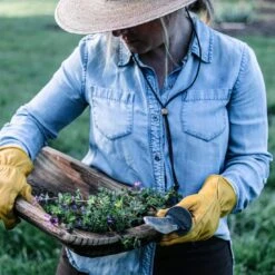 Barebones Hori Hori Ultimate Gardening Tool – The All-in-One Outdoor & Garden Blade -Ed's plant shop hori hori ultimate gardening tool 213134