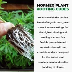 Hormex Rooting Cubes – Organic Peat & Coco Plugs For Cuttings & Seedlings -Ed's plant shop hormex rooting cubes organic peat coco plugs for cuttings seedlings 6537152