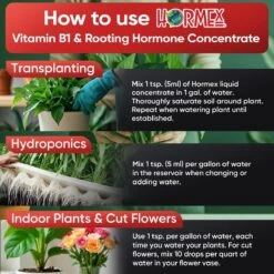 Hormex Rooting Hormone Concentrate With B1 – Root Growth & Plant Health Booster -Ed's plant shop hormex rooting hormone concentrate with b1 root growth plant health booster 719835