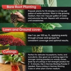 Hormex Rooting Hormone Concentrate With B1 – Root Growth & Plant Health Booster -Ed's plant shop hormex rooting hormone concentrate with b1 root growth plant health booster 721411