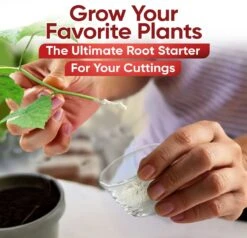 Hormex Rooting Powder #1 – 0.10% IBA Cloning & Rooting Hormone For Softwood, Herbs & Succulent Cuttings -Ed's plant shop hormex rooting powder 1 010 iba cloning rooting hormone for softwood herbs succulent cuttings 2320440