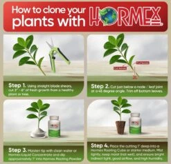 Hormex Rooting Powder #1 – 0.10% IBA Cloning & Rooting Hormone For Softwood, Herbs & Succulent Cuttings -Ed's plant shop hormex rooting powder 1 010 iba cloning rooting hormone for softwood herbs succulent cuttings 8682695