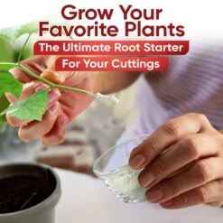 Hormex Rooting Powder #16 – 1.60% IBA Professional-Grade Cloning Hormone For Difficult Hardwood Cuttings -Ed's plant shop hormex rooting powder 16 160 iba professional grade cloning hormone for difficult hardwood cuttings 5847327