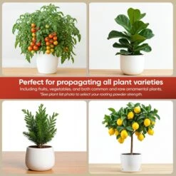 Hormex Rooting Powder #8 – 0.80% IBA Cloning Hormone For Semi-Hardwood Houseplants & Tree Cuttings -Ed's plant shop hormex rooting powder 8 080 iba cloning hormone for semi hardwood houseplants tree cuttings 3964562