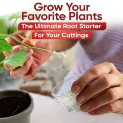 Hormex Rooting Powder Pack – #1, #3 & #8 IBA Cloning Kit For Softwood To Semi-Hardwood Cuttings -Ed's plant shop hormex rooting powder pack 1 3 8 iba cloning kit for softwood to semi hardwood cuttings 1833254